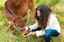 Female Farmer Feeding Cattle
