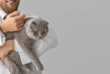 Wall Mural - Male veterinarian with Scottish fold cat on light background