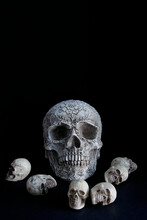 Large Skull With Small Skulls