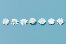 White Paper Flowers On Blue Background. Cut From Paper.