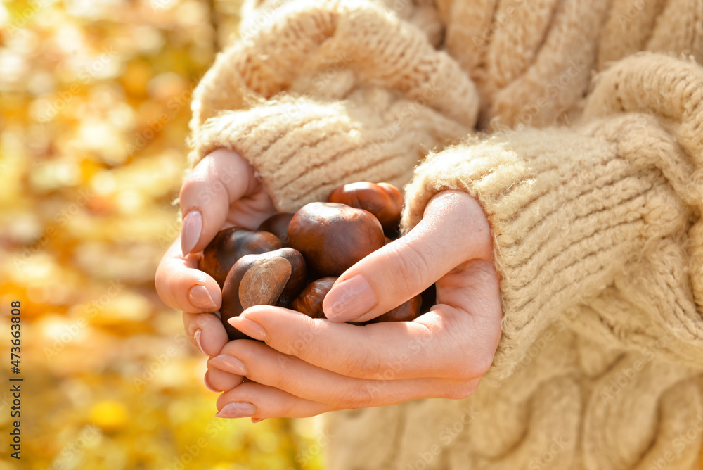 Woman holding chestnuts outside, closeup