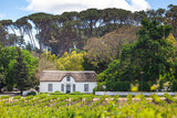 Fototapeta Big Ben - Oude Libertas Vineyard and Cape Dutch Homestead