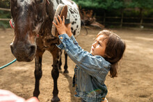 Little Girl Brushing Horse