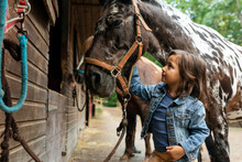 Girl Petting An Horse At Stable