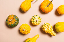 Decorative Fall Pumpkins And Gourds 