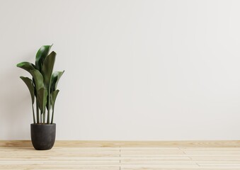 Empty room white walls with beautiful plants sideways on the floor.3d rendering.