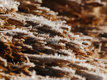 Wood Texture With Rime