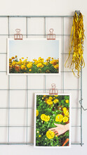 Mood Board With Prints Of Flowers