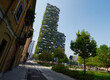 © Adam Sébire/Stocksy - Vertical garden living green wall, environmentally friendly