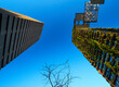 © Adam Sébire/Stocksy - Vertical garden living green wall plants vs concrete modernism
