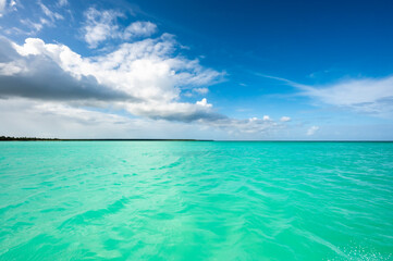 Wall Mural - open blue sea cumulus clouds