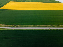Green And Yellow Field
