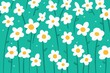 © Gemma can fly/Stocksy - Daisies pattern outdoors spring illustration