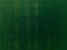 Green Pattern Of Mowed Farmland.