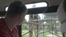 A Young Man Feeds A Giraffe Carrot Through A Car Window During A Safari