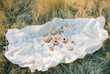 © Sonya Khegay/Stocksy - summer picnic