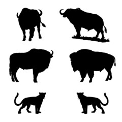 Wall Mural - Set with animals. Silhouette of African buffalo, bison, wisent and leopard. Digital illustration.	