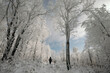 © Cosma Andrei/Stocksy - Man in magical winter forest with frost