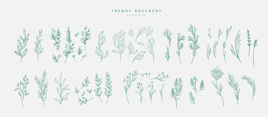 Wall Mural - floral branch and minimalist flowers for logo or tattoo. hand drawn line wedding herb, elegant leave