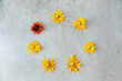 © Westend61 - Yellow and red flowers in circle shape