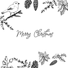 Postcard Christmas Vector And Lettering By Hand Black White Bird Branches Cones December