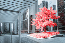 Infrared Photography Of Tree With Urban Background