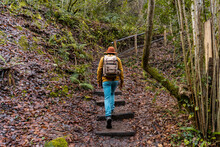 Male Hiker Walking On Stone Steps In Forest