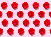 Pattern Of Heads Of Red Carnation Flowers Flat Laid Against Pink Background