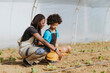 © Westend61 - Female farmer teaching gardening to girl while crouching at greenhouse
