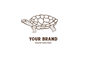 Wall Mural - Vintage Retro Hand Drawn Turtle Logo Design Vector