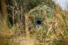 Wildlife Photographer Waiting For A Picture In A Camouflage Tent Hide. Cameraman Documentarist Hidden Under Vegetation With Only Telephoto Lens Sticking Out.