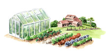 Garden Greenhouse And Vegetable Beds. Spring Work On The Fafm. Hand Drawn Watercolor Illustration Isolated On White Background
