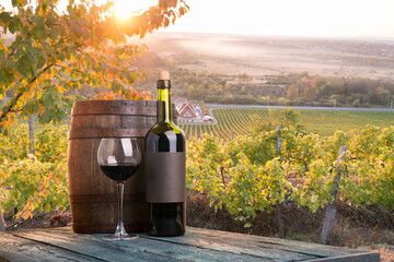 Red wine with barrel on vineyard in green Tuscany, Italy