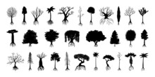 Collection Of Black Silhouettes Of Various Trees With Root System.