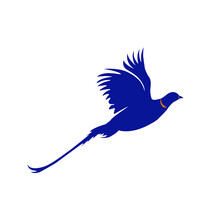 Ring-necked Pheasant Bird Logo Vector And Illustration Artwork