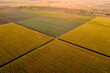 © Westend61 - Aerial view of vast agricultural farm fields at summer dusk