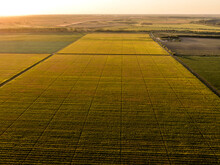 Aerial View Of Vast Agricultural Farm Fields At Summer Sunset