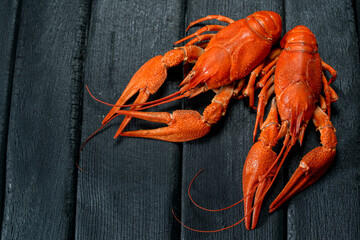 Wall Mural - two large boiled crayfish on a black background
