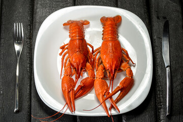 Wall Mural - big boiled crayfish on a white plate on a black background flatley
