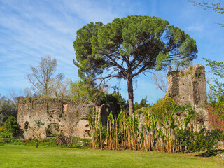 Remains of medieval building in the Garden of Ninfa of Caetani family are surrounded by exotic plants. Beautiful Monti Lepini valley near Sermoneta, Cisterna di Latina. Amazing landscape with blue sky