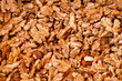 © Tatty - Raw walnuts outside of shell pile background pattern