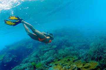  Snorkeling over shallow coral reef.