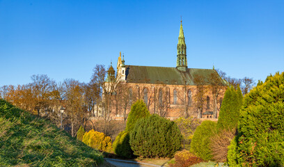 Wall Mural - Sandomierz Cathedral in the Fall