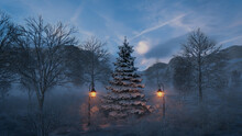Winter Landscape With A Snow Covered Christmas Tree. Festive Background.