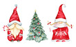 © Lora - Mr and Mrs Clause gnomes,Christmas tree..Watercolor illustration isolated on white background.