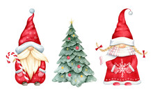 Mr And Mrs Clause Gnomes,Christmas Tree..Watercolor Illustration Isolated On White Background.