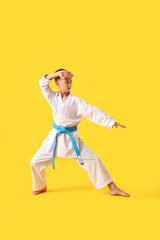 Wall Mural - Little boy practicing karate on color background