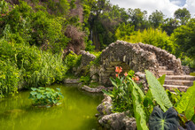 Japanese Tea Garden Green Pond Bridge And Plants In Summer Season. San Antonio, Texas
