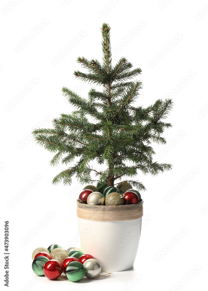 Christmas tree with beautiful balls isolated on white background