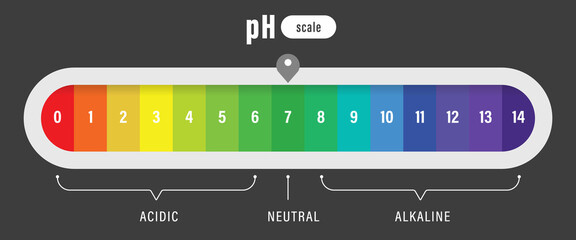 pH value scale chart for acid and alkaline solutions, acid-base balance infographic	